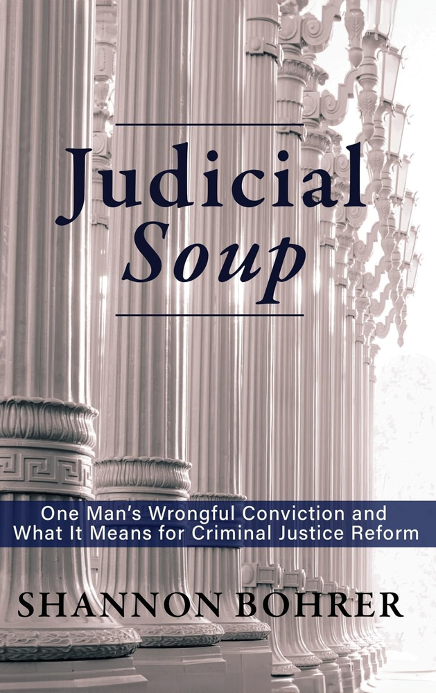 judicial soup book cover